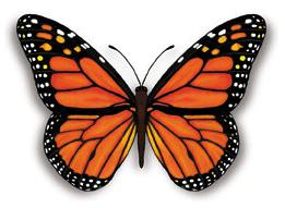 Bush Rogaine at Adelaide River