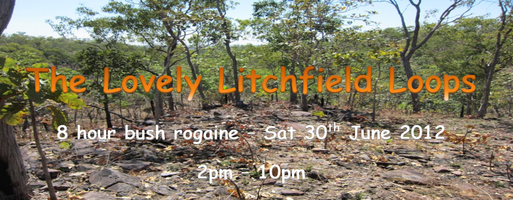 'Lovely Litchfield Loops' Bush Minigaine